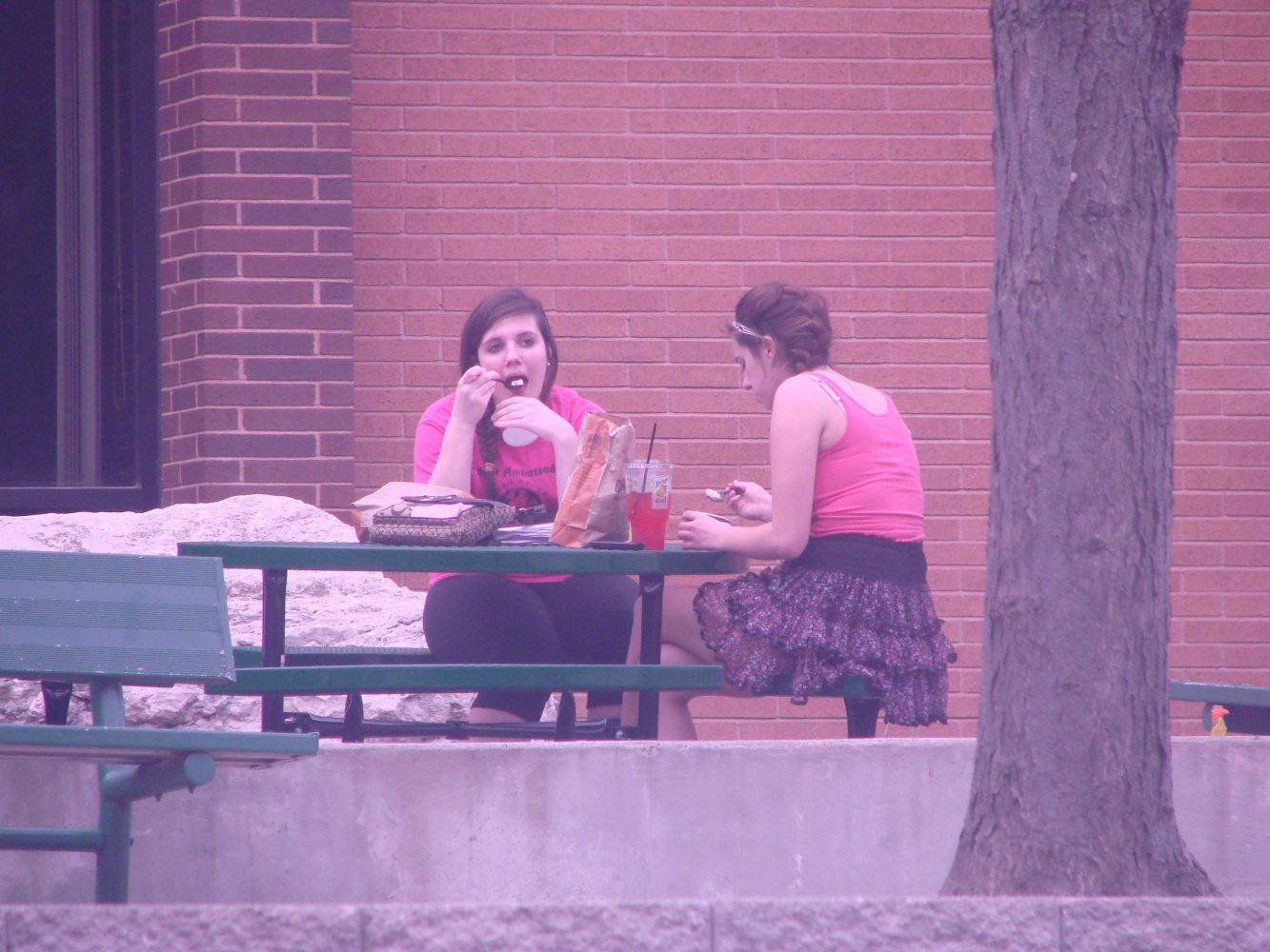 Students take advantage of the weather and eat lunch outside.