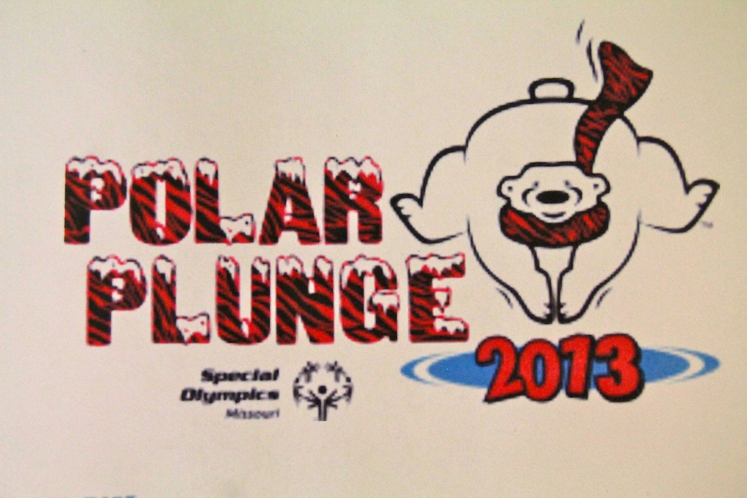 Polar Plunge 2/23/2013