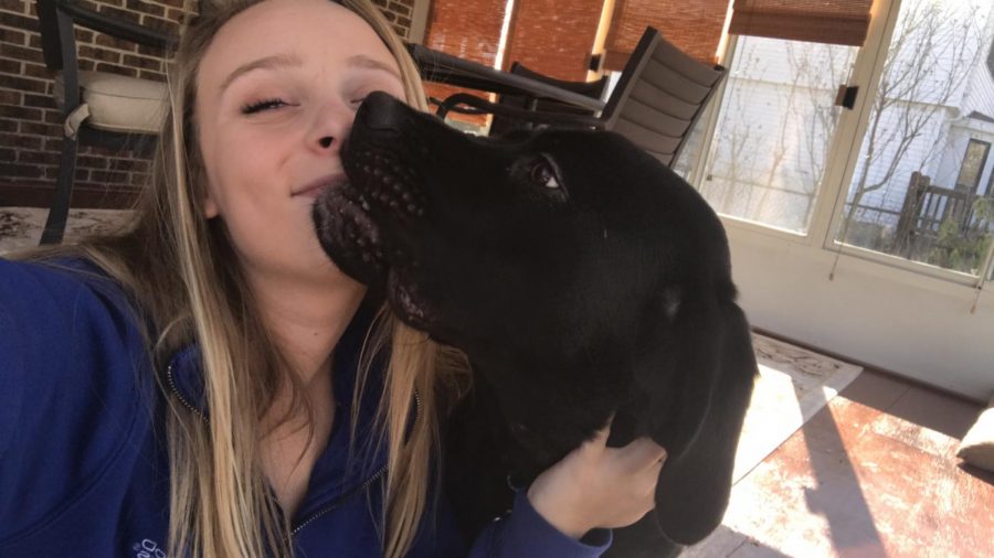 Lindsey Lorsbach (12) and her dog Chloe.
