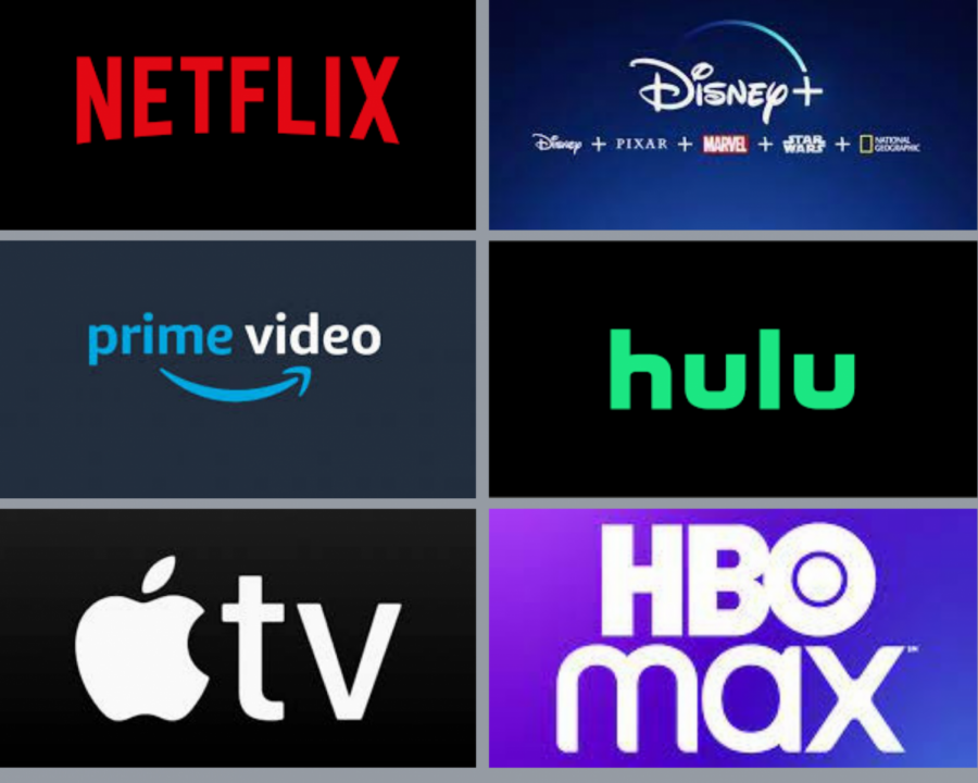 With so many streaming options, families have to decide between what streaming services work best for them without breaking the bank. 