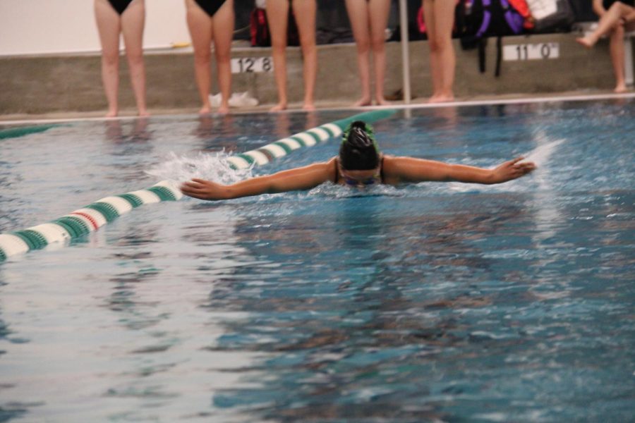 Raziel Mendoza performed the Breast stroke at the December 3rd meet against Francis Howell. 