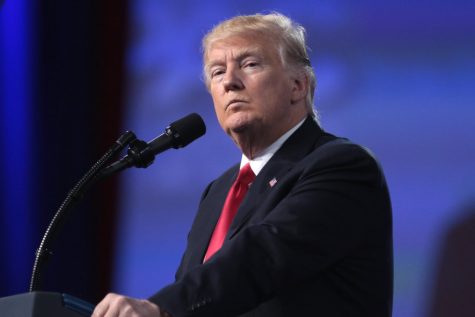 Former President Trump launches his 2024 Presidential campaign just a week after the 2022 midterms, ensuring hes the first to announce and ahead of the game. Donald Trump by Gage Skidmore is licensed under CC BY-SA 2.0.