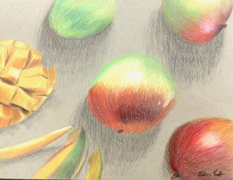 Talisa Prabhu’s colored pencil drawing, The Mangos, is now on display at the St. Louis Art Museum Student Exhibition.